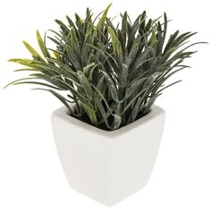 Plante artificielle et pot céramique blanc H 15cm