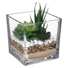 Plante artificielle et pot carré verre 12x15cm