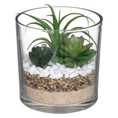 Plante artificielle et pot rond verre D 15x16cm