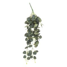 Plante artificielle eucalyptus en polyester H 80cm