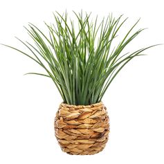 Plante artificielle herbe et pot tressé 18x46cm