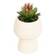 Plante artificielle LIVY en pot dolomite H 17cm