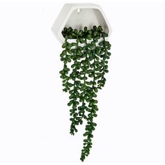 Plante artificielle murale tombante 12.5x14x.5.5cm