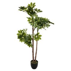 Plante artificielle scheffléra H 135cm