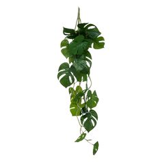 Plante artificielle tombante H 85cm