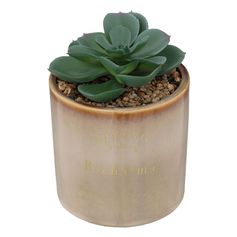 Plante grasse artificielle dans pot en céramique H 14cm