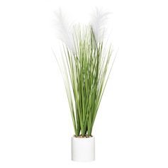Plante plumeau artificielle et pot en ciment H 70cm