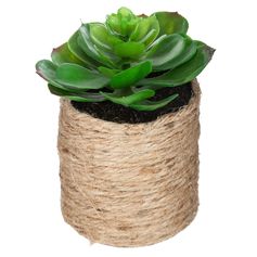 Plante verte artificielle et pot corde H 16cm