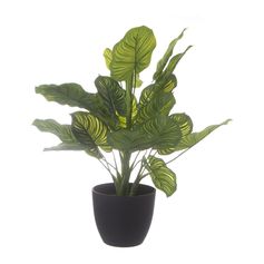 Plante verte artificielle pot H 45cm