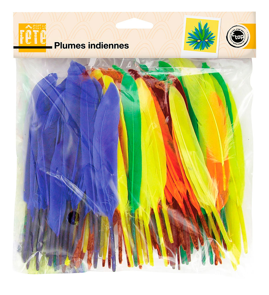 Sachet de 120 plumes indiennes multicolores 7 à 15cm