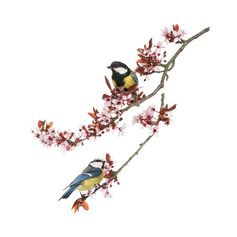 Sticker adhésif mural cerisier oiseau 70x20cm