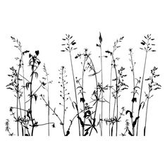 Sticker adhésif mural nature 50x70cm