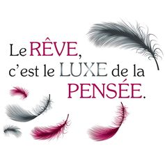 Sticker mural citation luxe de la pensée 50x70cm