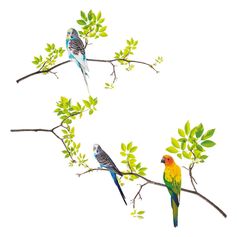 Sticker mural déco branche et oiseaux 70x20cm