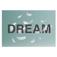 Sticker mural citation mot DREAM et plumes 70x20cm