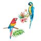 Sticker mural tropical perroquets 70x50cm