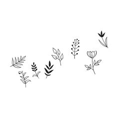 Stickers adhésif mural fleurs 61x45cm