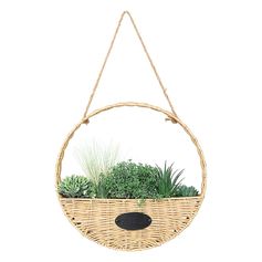 Suspension naturelle plante artificielle D 40cm