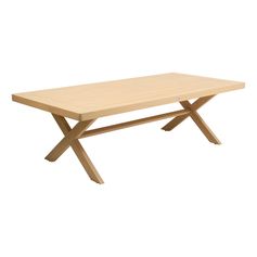 Table de jardin XENIA 10p 250x120x76cm