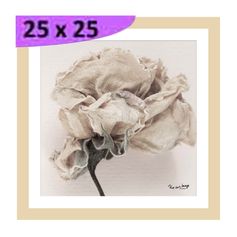 Tableau photo Fleur séchée cadre beige 25x25cm