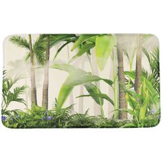 Tapis en microfibres Oasis 45x75cm