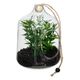 Terrarium avec plantes à suspendre NALY H 15 cm