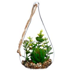 Terrarium verre forme goute et plante artificielle H 19cm