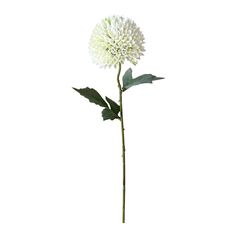 Tige d’allium 1 tête plastique H 55cm