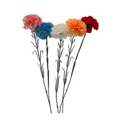 Tige d'œillet tergal H 55cm