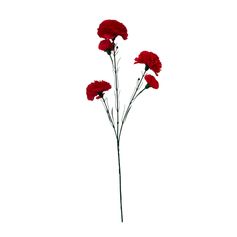 Tige d'œillets 5 têtes tergal H 63cm