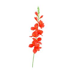 Tige de glaïeuls 7 fleurs et 3 boutons polyester H 78cm