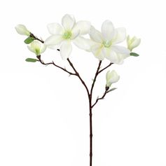 Tige fleur artificielle magnolia blanche H 83cm