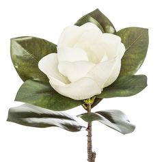 Tige magnolia artificielle H 70cm