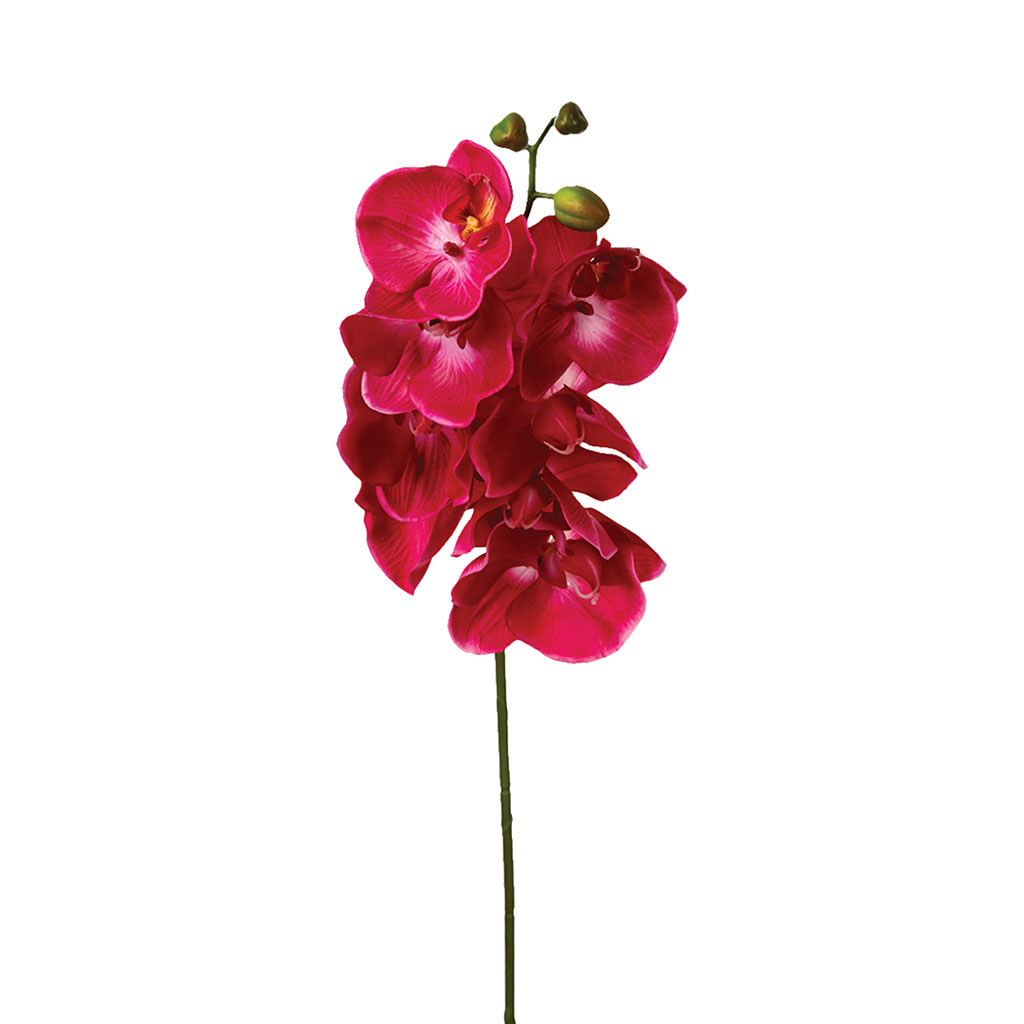 Tige orchidée artificielle H 108cm - Centrakor