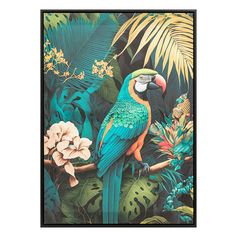 Toile imprimée encadrée pérroquet 50x70cm