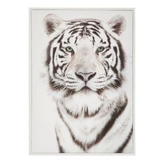 Toile imprimée tigre noire et blanc 50x70cm