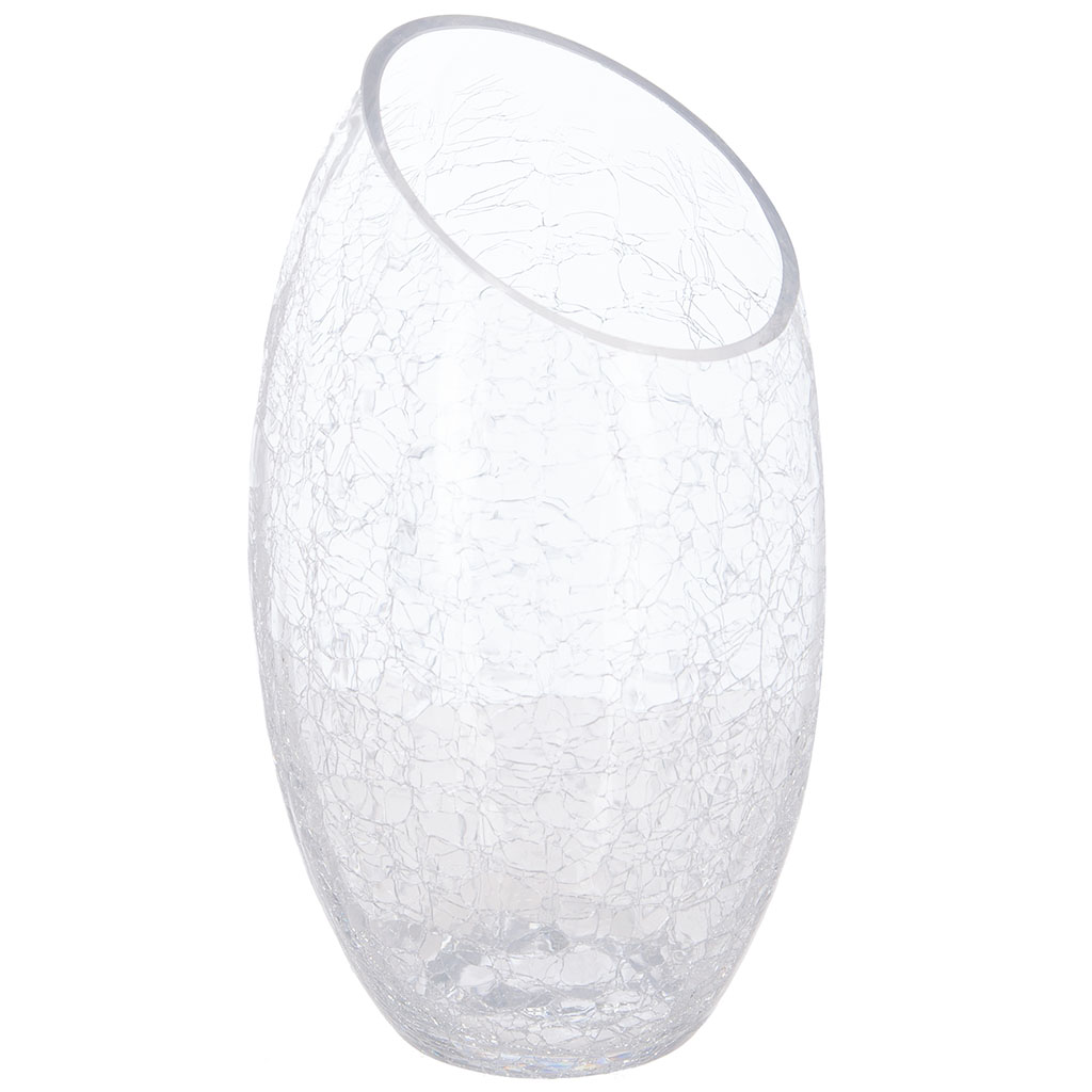 Vase bombé verre transparent H 23cm Centrakor