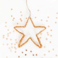 Etoile de Noël