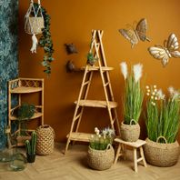 Jardin d'intérieur avec meubles rotin et plantes
