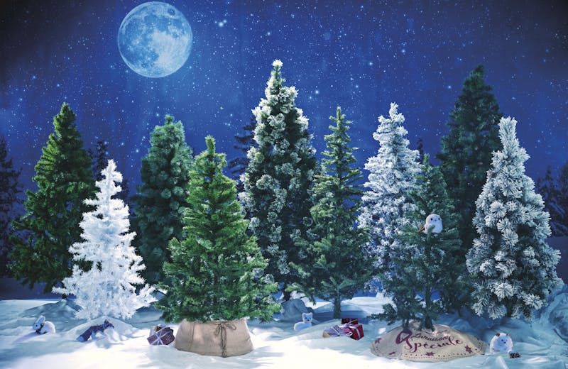Sac de rangement pour sapin de Noël artificiel Deluxe - Bleu - Royal  Christmas Logo - 120 cm - Sac de rangement Sapin de Noël artificiel - Un sac  de rangement pratique