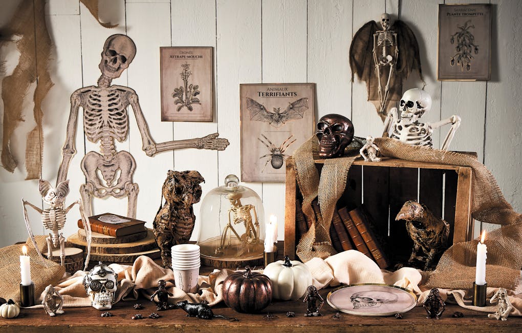Tête Coupée Suspendue En Latex Pour Halloween - Accessoire Zombie Sanglant Pour Maison Hantée