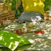 pique nique à l'ombre avec nappe coussins et nourriture