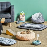 Salon avec paniers et jeux pour animaux