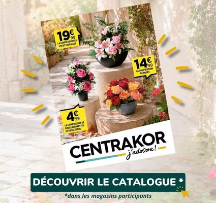 Nos fleurs de la Toussaint en magasin